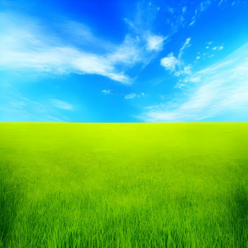 Green Grass A Blue Sky And A Background Of Calm Colors Suitable As A Wall Painting With Beautifu (6)