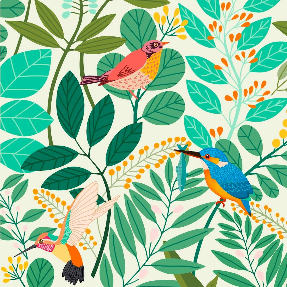 Bird Paradise