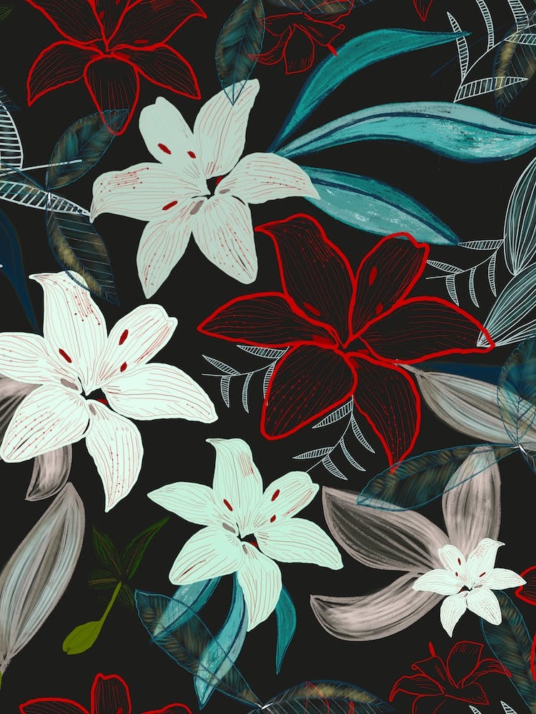 Exotic Lily