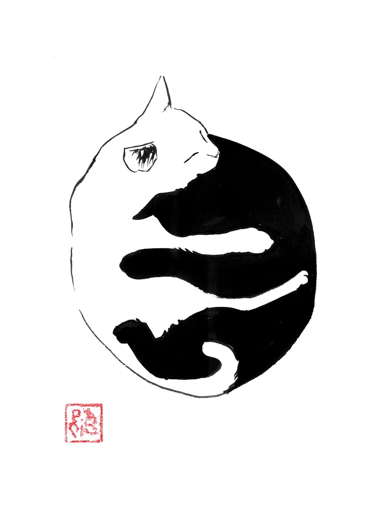 Ying yang Cat
