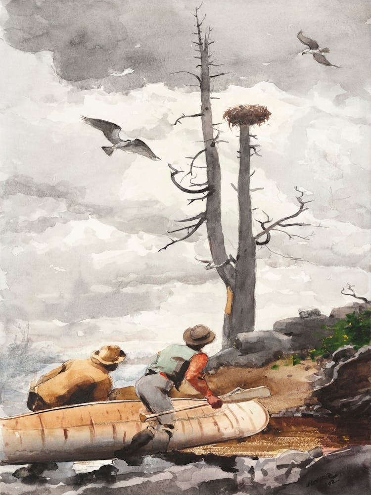 The Eagle S Nest (1902), Winslow Homer