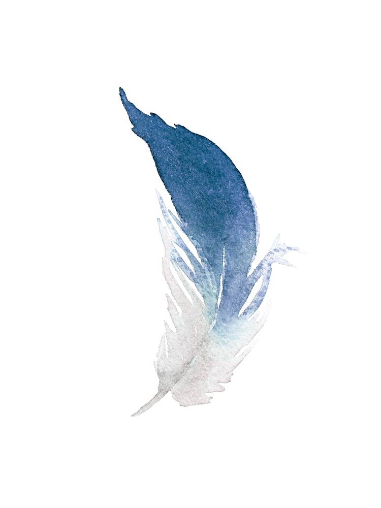 Watercolor illustration 'Blue Feather' No 105B
