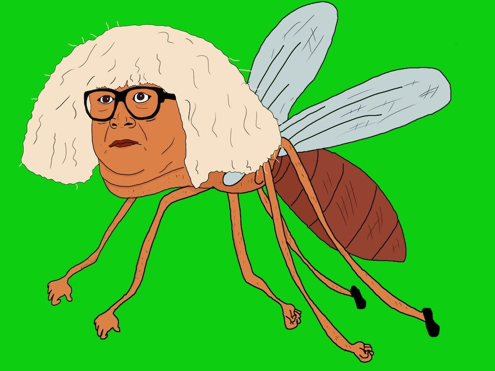 Danny Mosquito