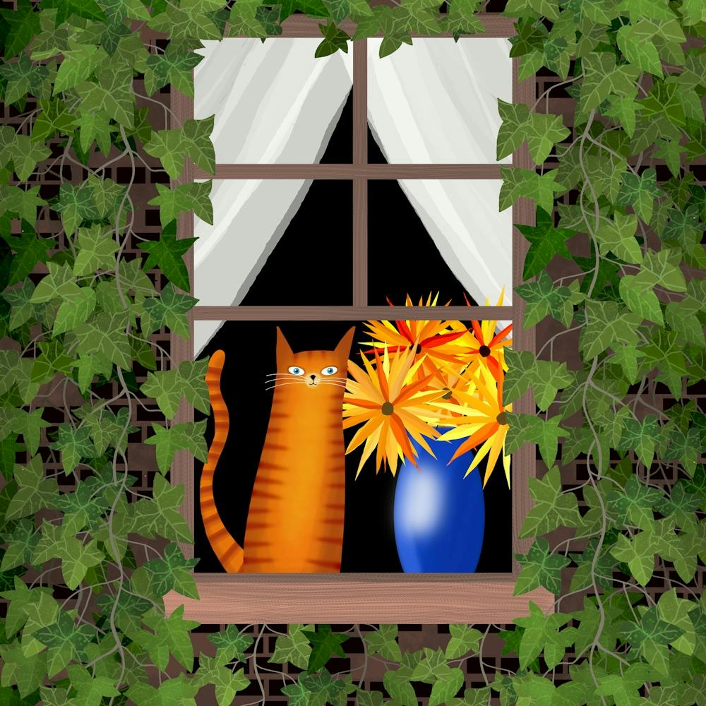 Curtain Twitching
