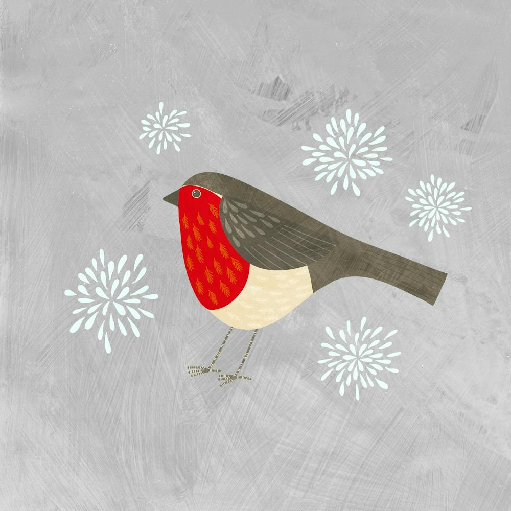 Robin Bird with Snowflakes
