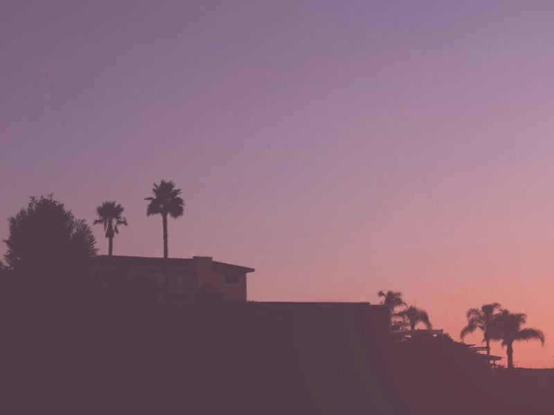 Los Angeles, USA I Los Angeles california skyline photography in a pastel violet pink light sunset sky with palm trees silhouette contrasting of Hollywood and Beverly Hills villas from the Griffith Observatory