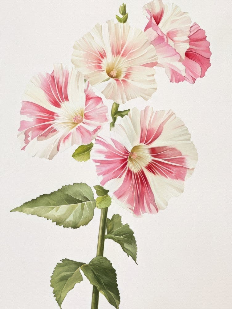 Watercolour Flower On White 17