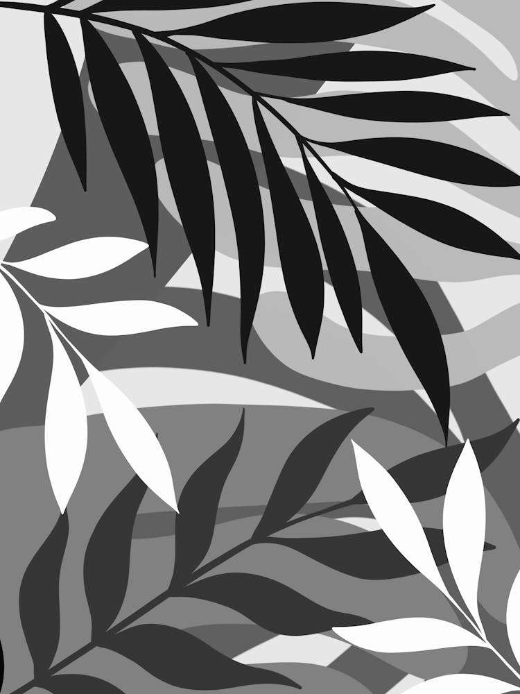 Black And White Leaves 2