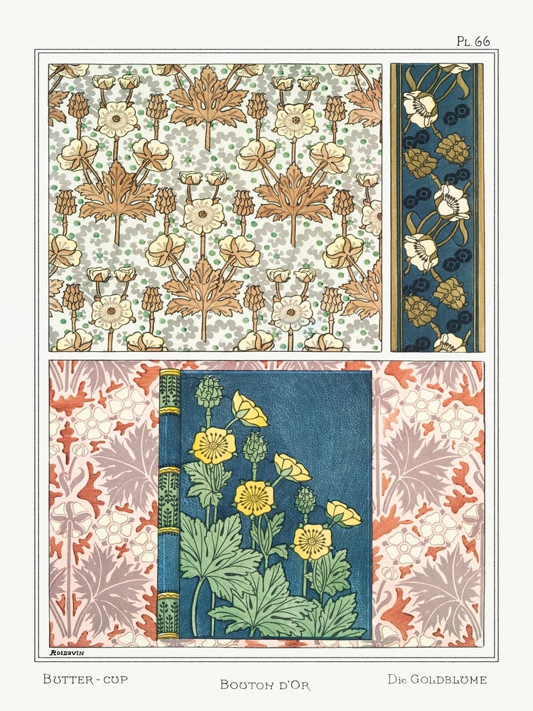 Buton D Or From La Plante Et Ses Applications Ornamentales (1896), Maurice Pillard Verneuil 1