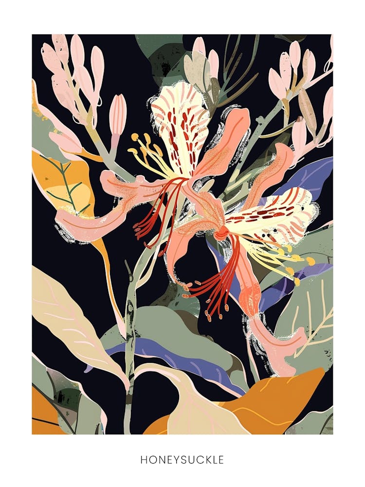 Colourful Flower Illustration Poster Honeysuckle 4