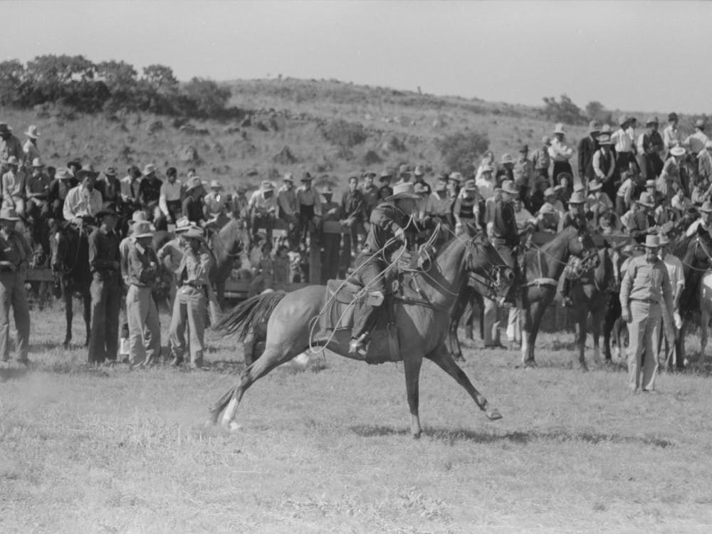 Untitled Photo, Possibly Related To Cowboys Driving Cows Down Rodeo Grounds, Bean Day, Wagon Mound 1