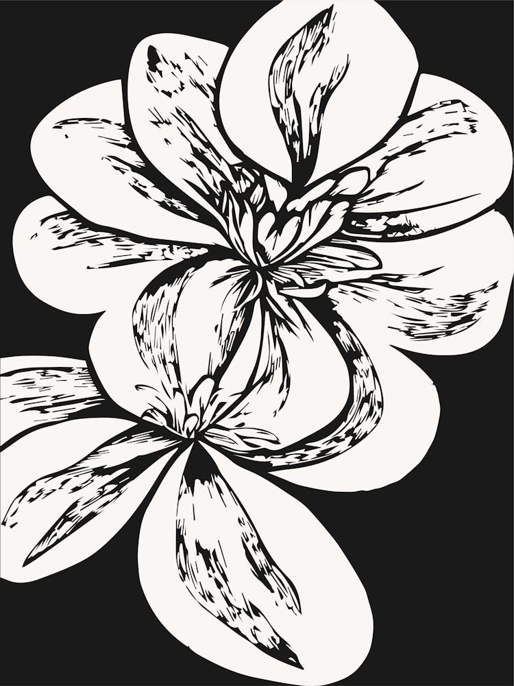 Black And White Flower