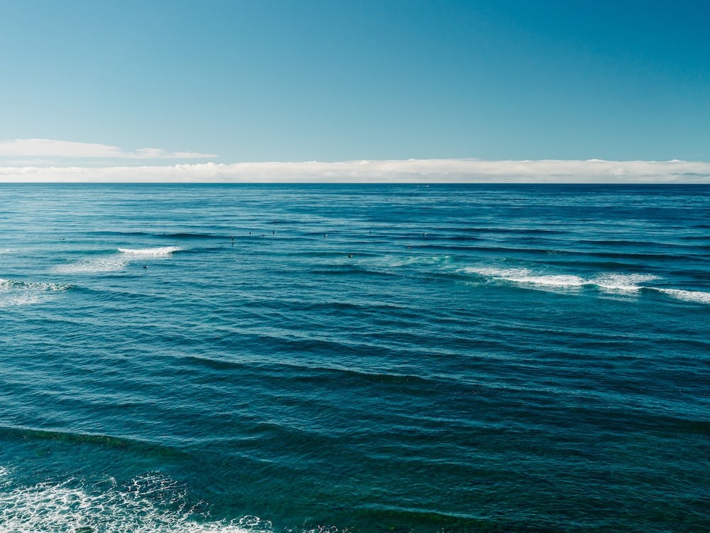 Sunset Cliffs Surfers IV