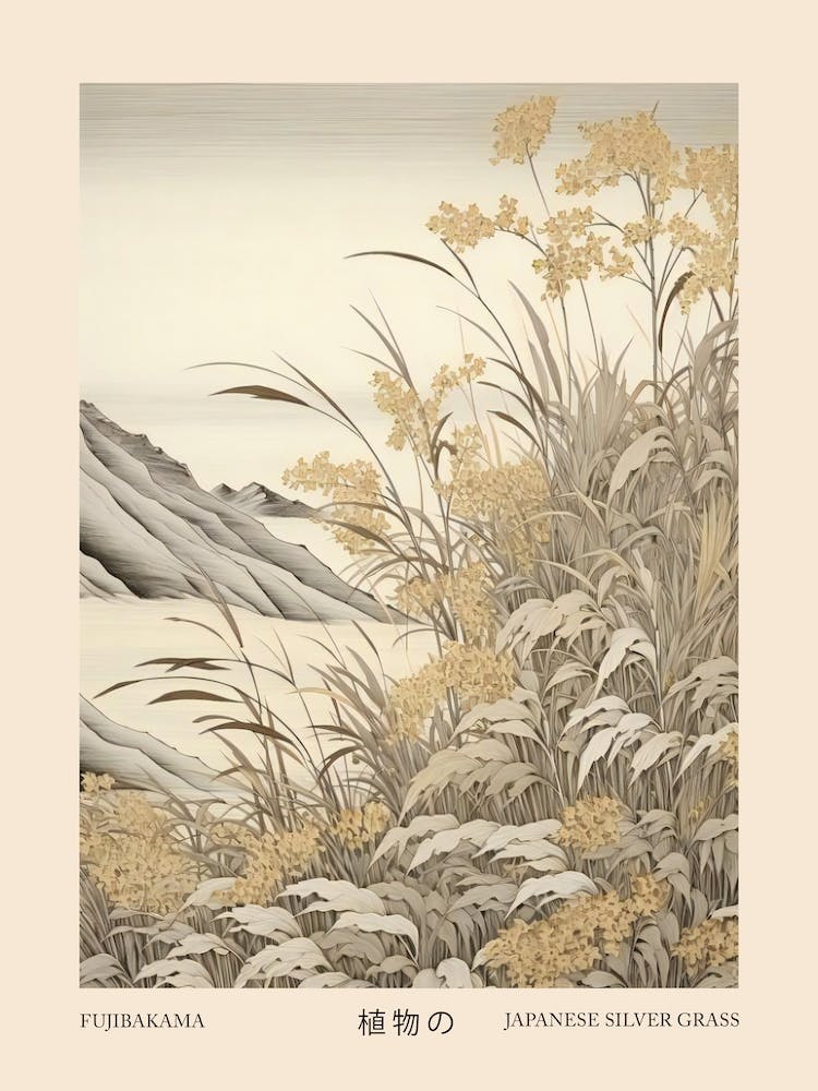Fujibakama Japanese Silver Grass 4 Vintage Japanese Botanical Poster