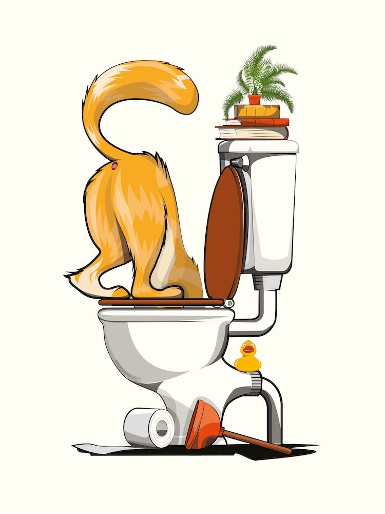 Cat With Head In Toilet