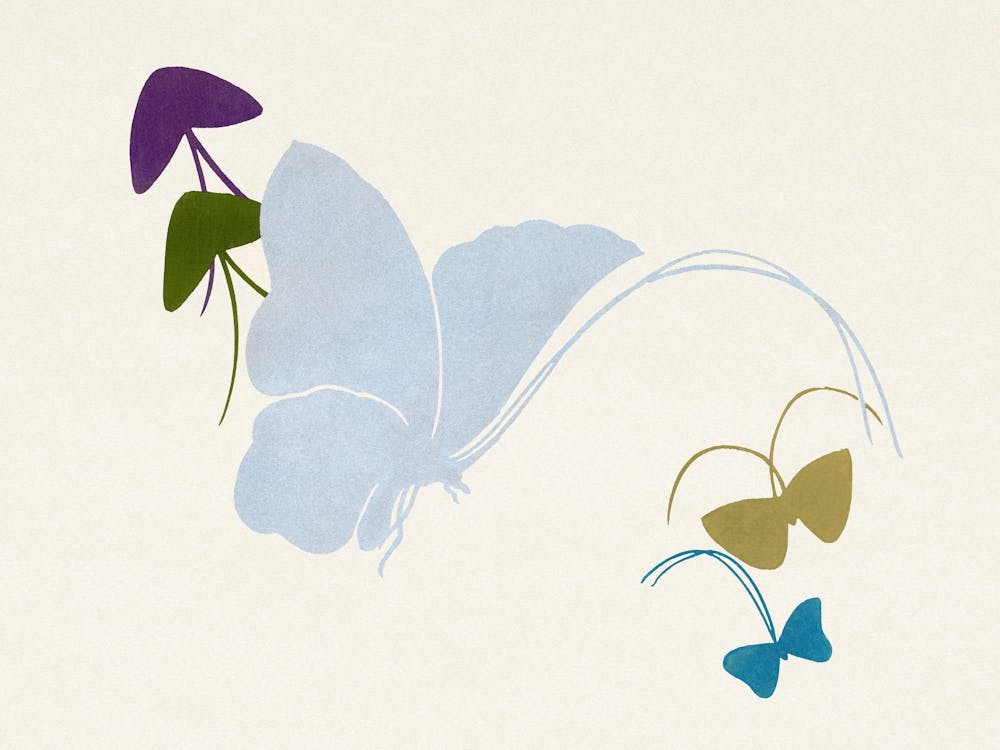 Japanese Butterfly, Cho Senshu (11)