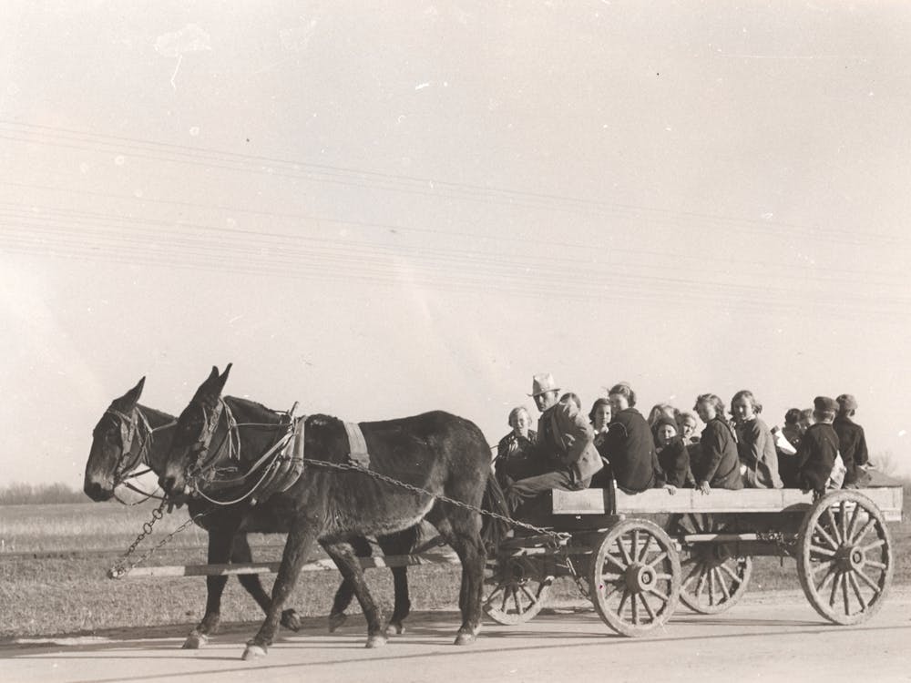 Ramenant des enfants de l'école par chariot et mules près du projet Transylvania, Louisiane par Russell Lee