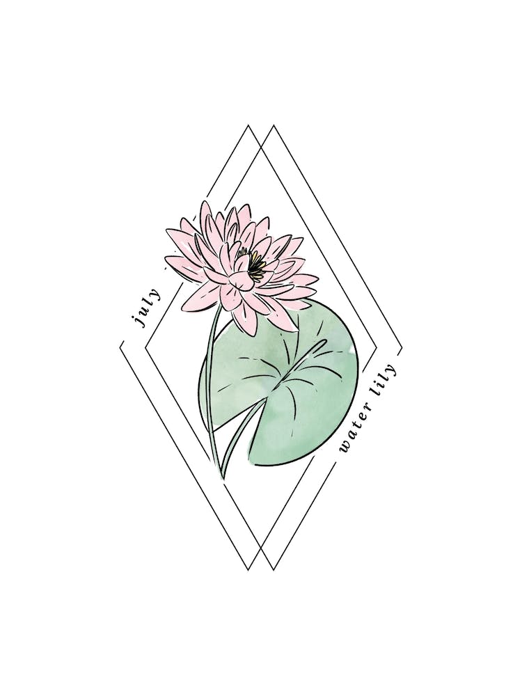 July Water Lily Birth Flower