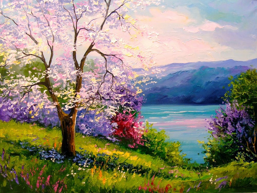 Cherry blossom on the shore of the lake