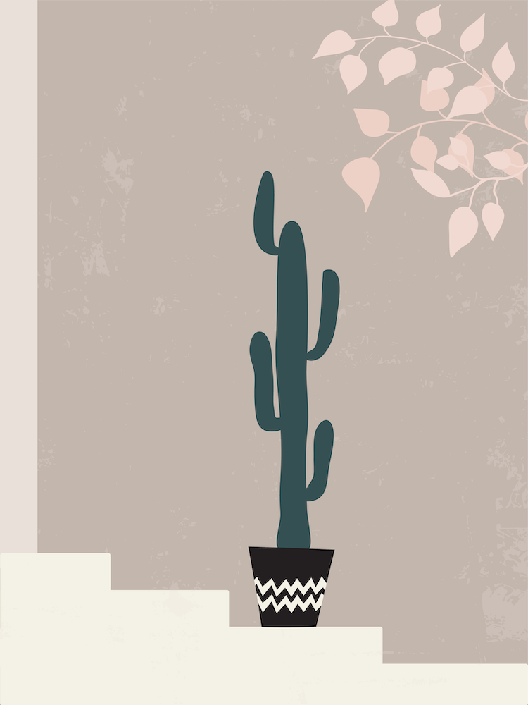 Cactus In A Pot On Stairs