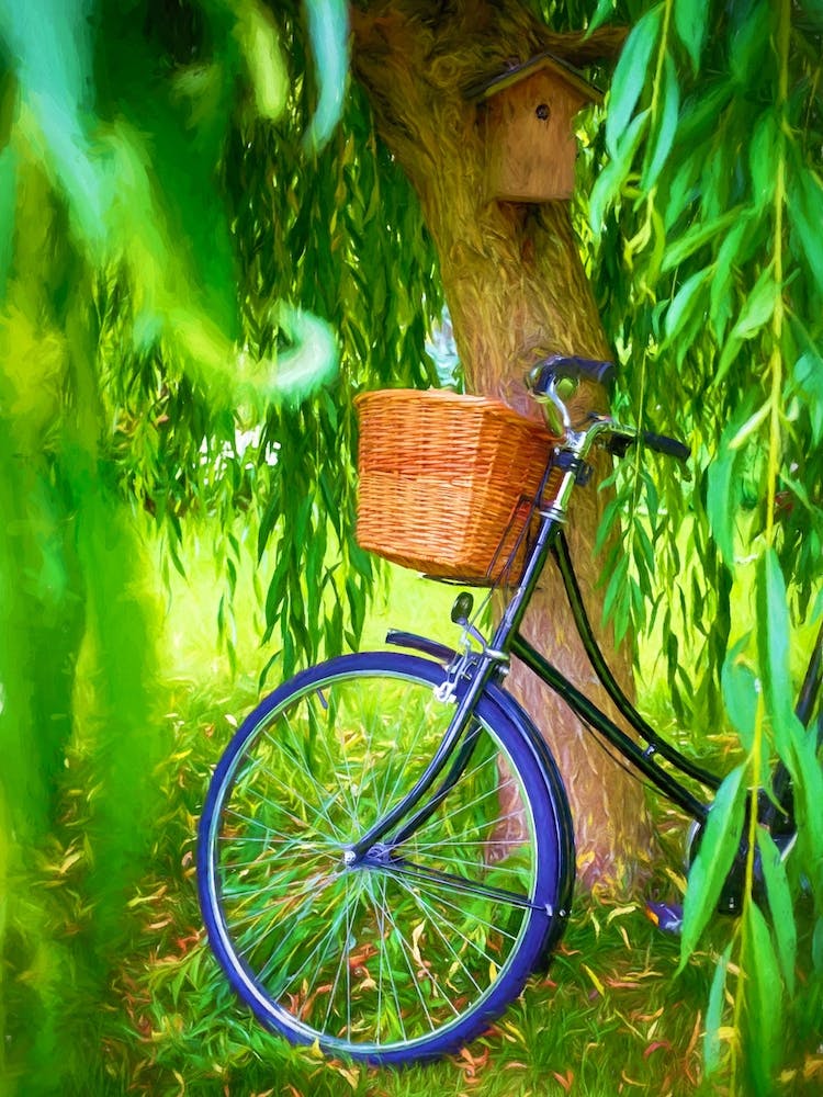 Bicycle Bird Box & Willow Tree
