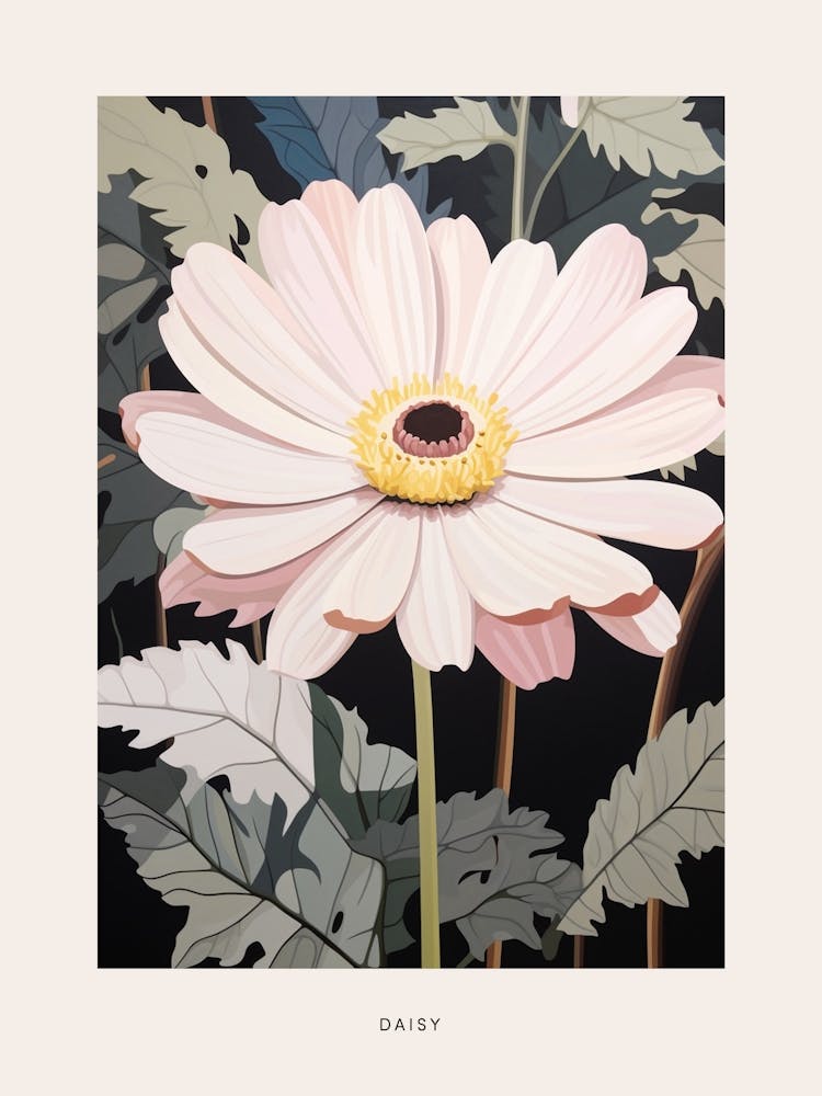 Illustration Florale Marguerite 1 Affiche