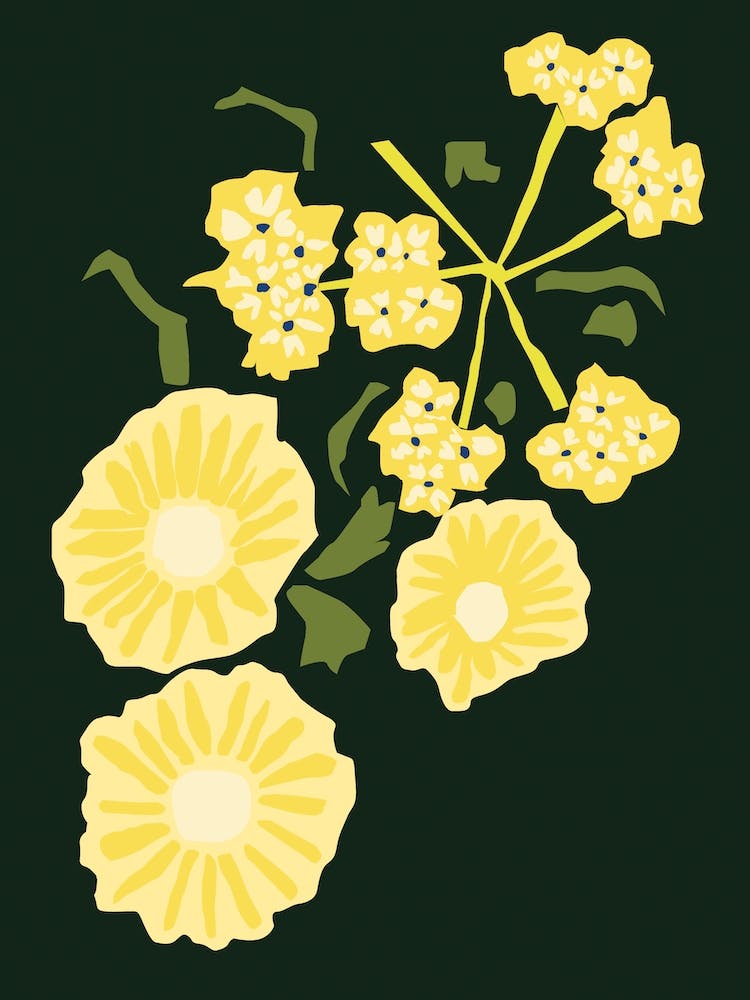Daisy In The Dark 