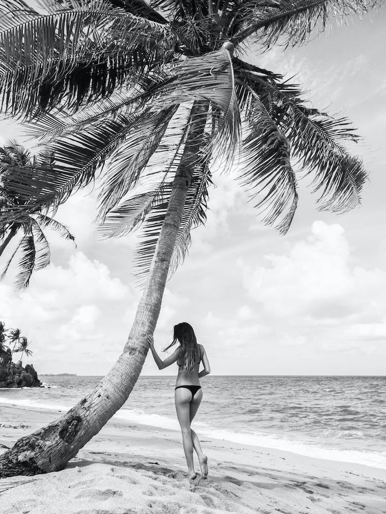 Dreamy Tropical Island Black And White