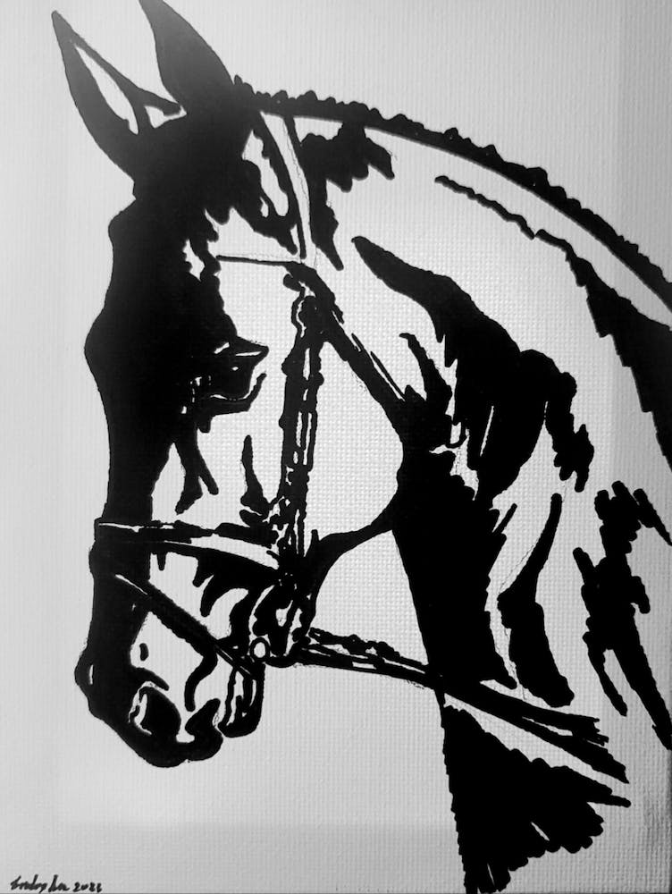 horse power (balck and white horse)