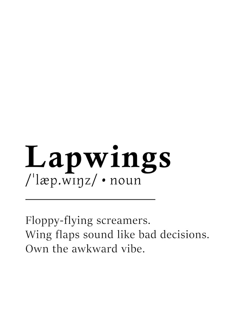 Lapwings Definition Poster - Dictionary