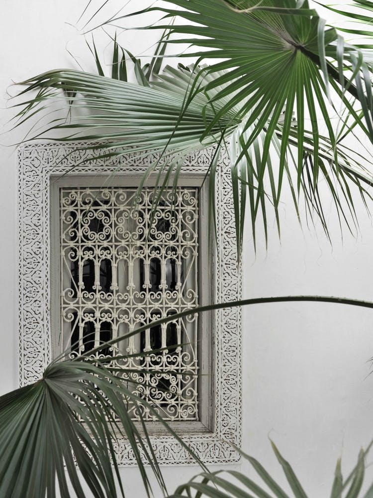 Garden Dreams Morocco