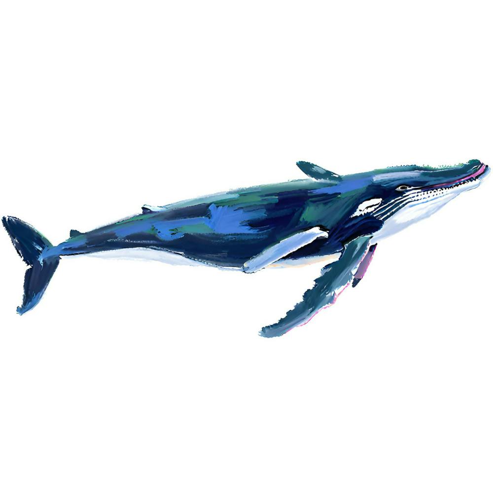 Humpback Whale 06