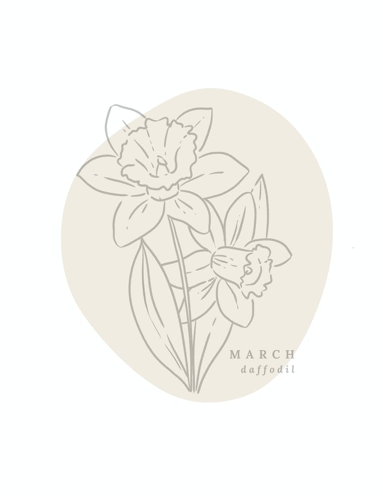 March Daffodil  Birth Flower | Neutral Florals