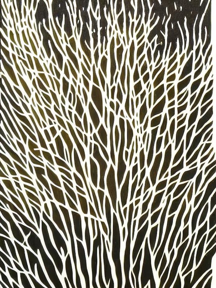 Acropora Millepora Linocut