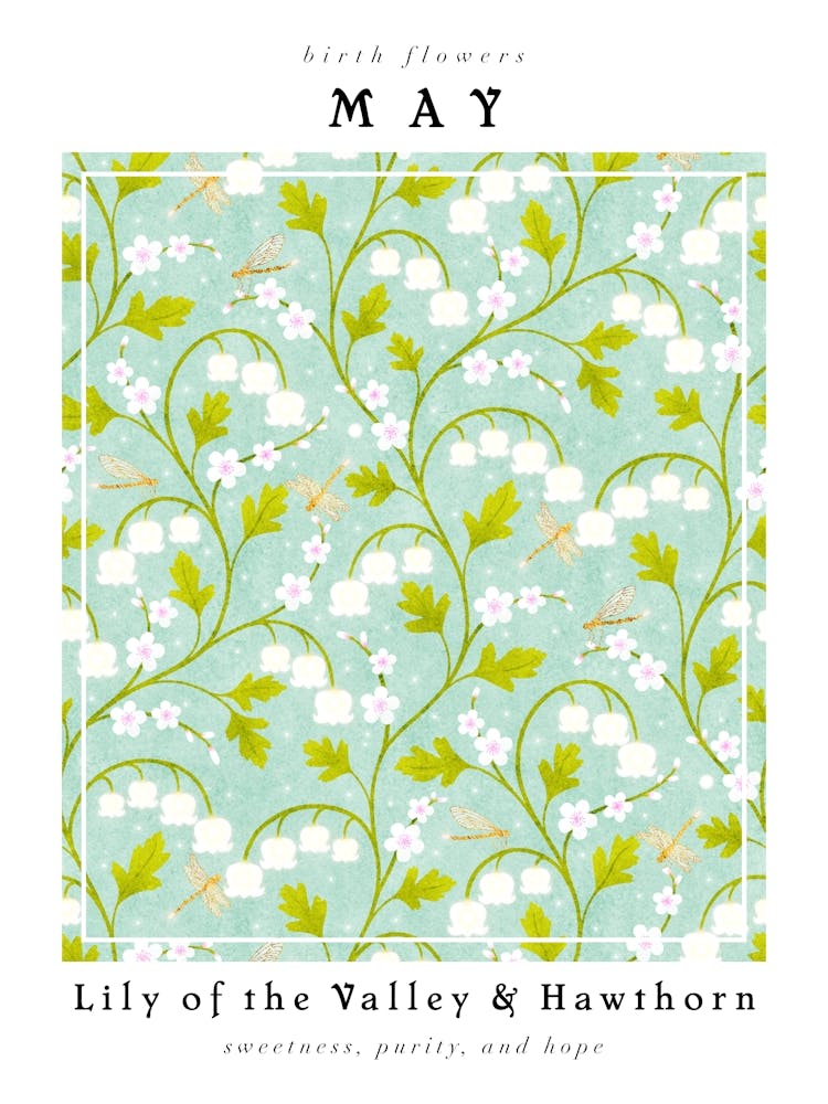 May Birth Flowers Lily Of The Valley & Hawthorn 1