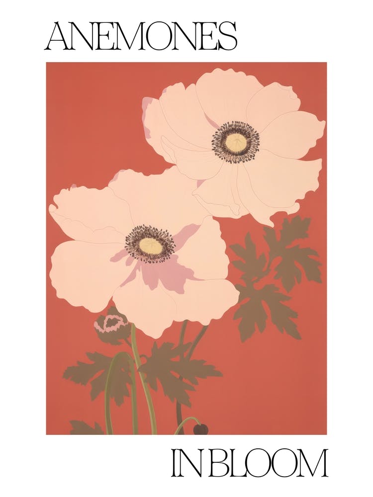 Anemones In Bloom Flowers Bold Illustration 1