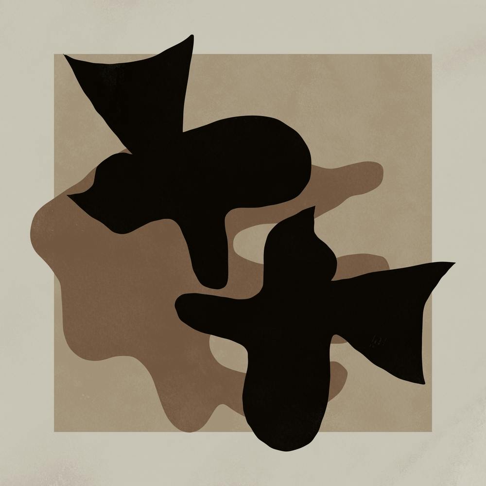 Black And White Dove Painting