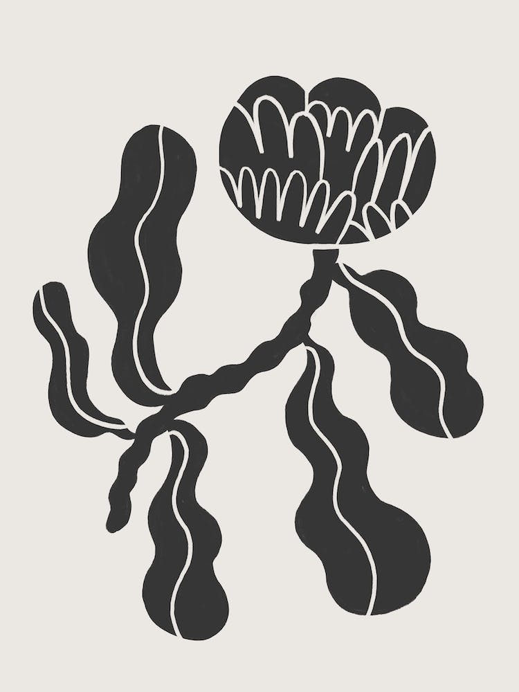 Single Flower