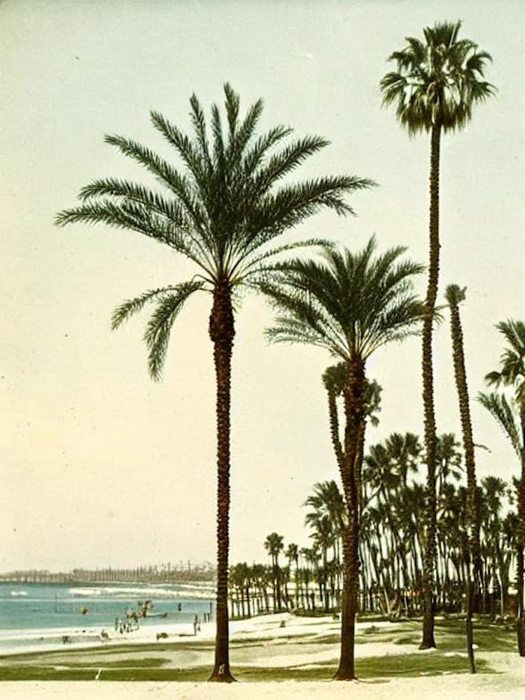 Coronado Beach San Diego California Vintage