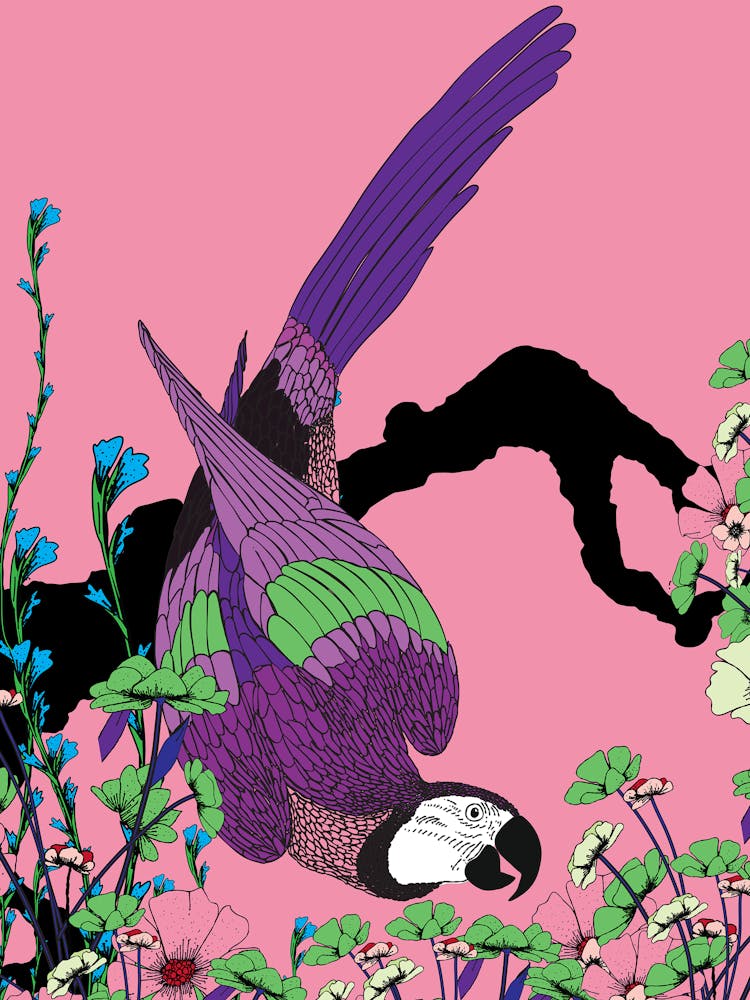 Parrot In The Tropics