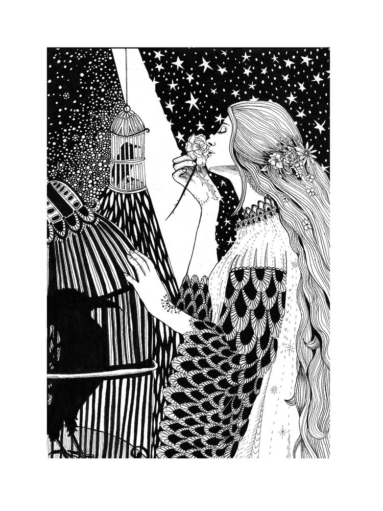 Starry Bird Cage
