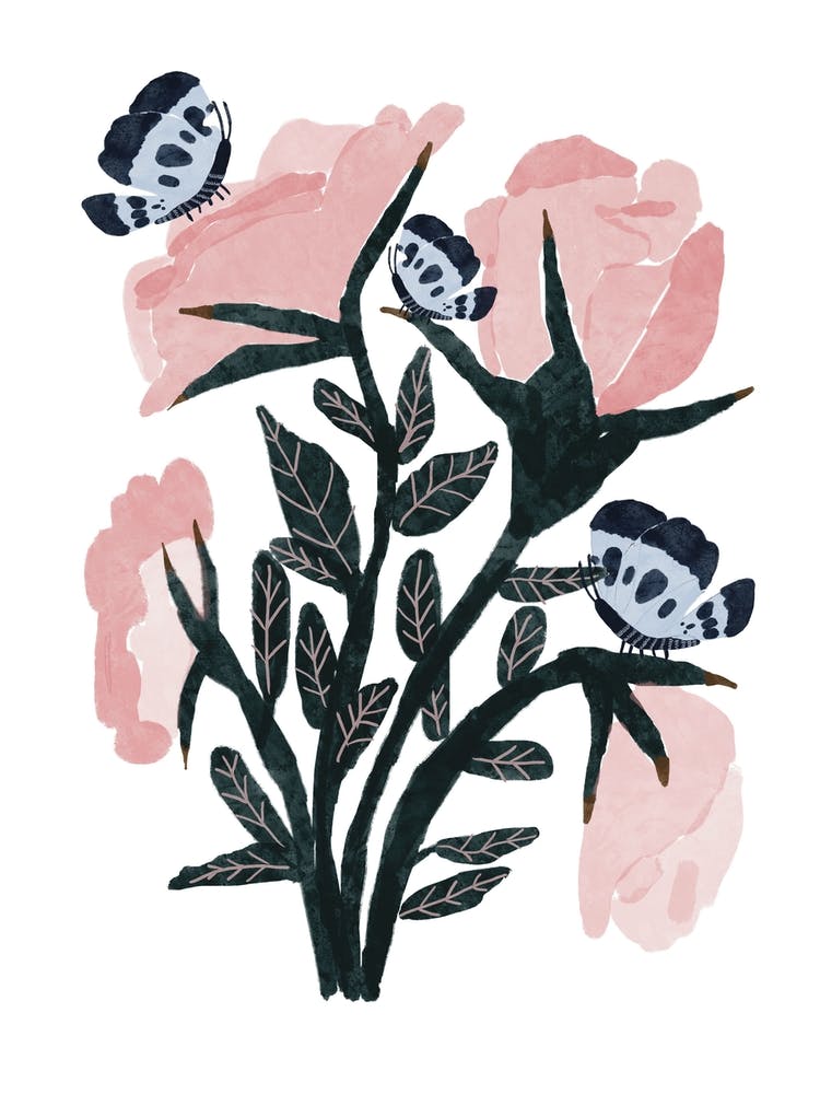 Garden Roses