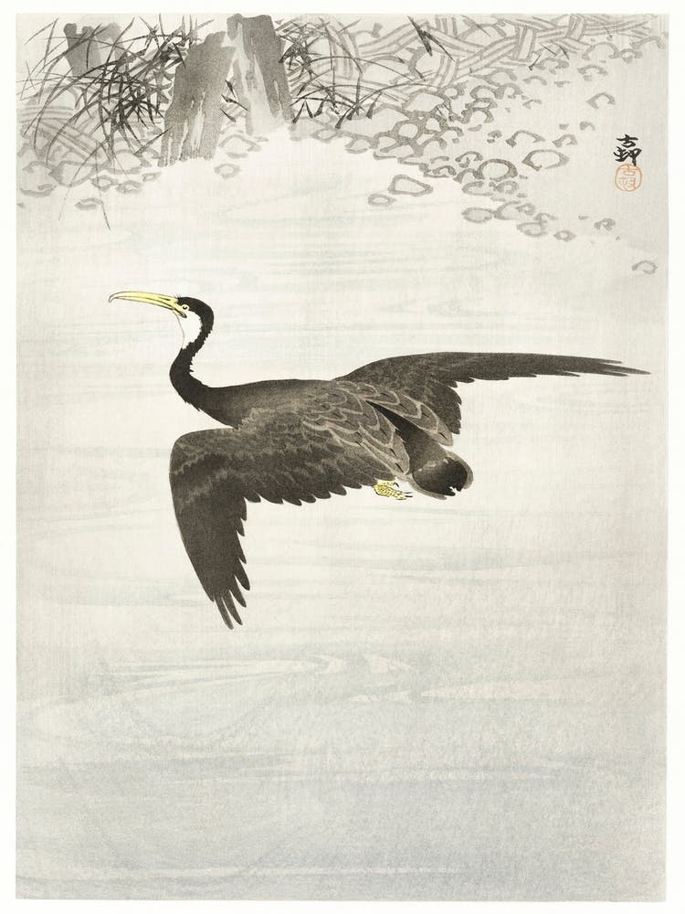 Cormorant In Flight (1900 1930), Ohara Koson