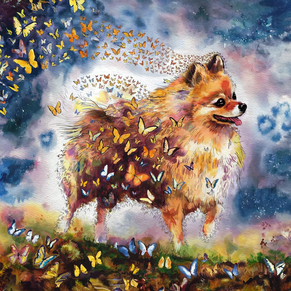 Pomeranian With Butterflies