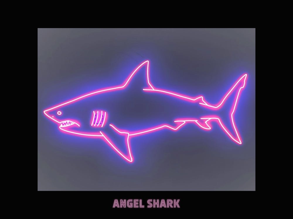 Neon Pink Magenta Angel Shark Poster 1