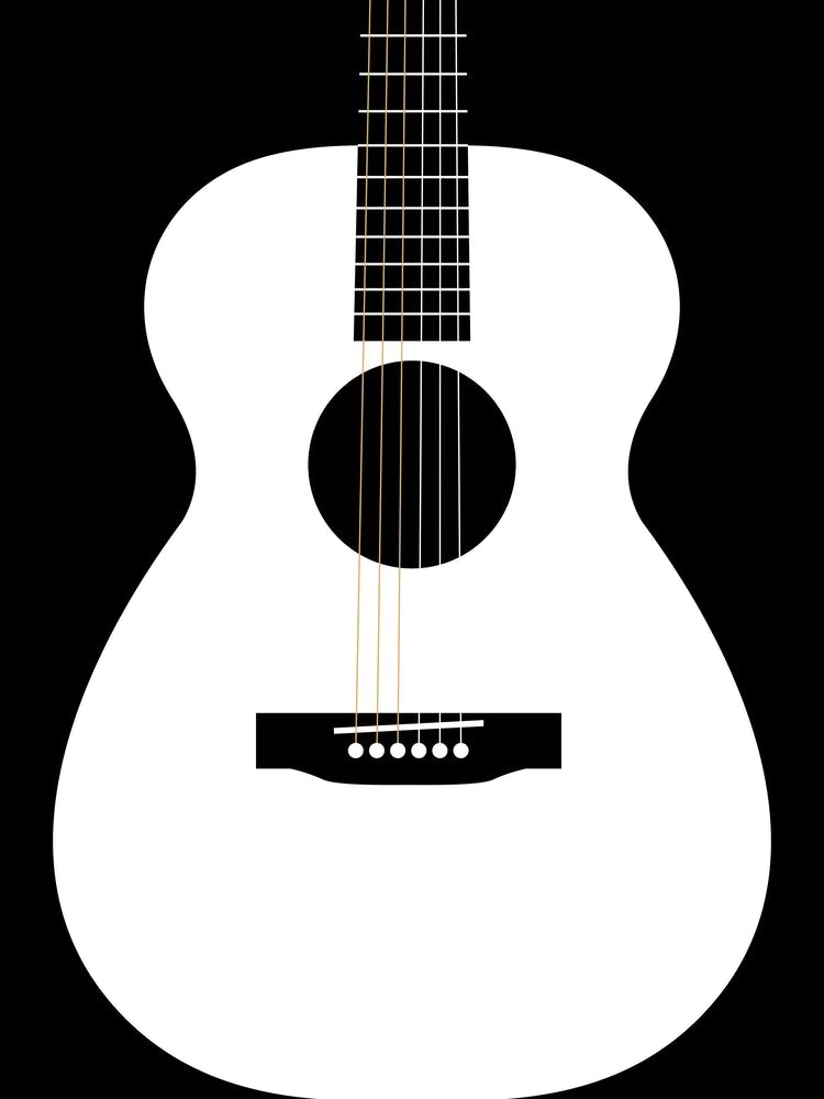 Black and white Acoustic Guitar