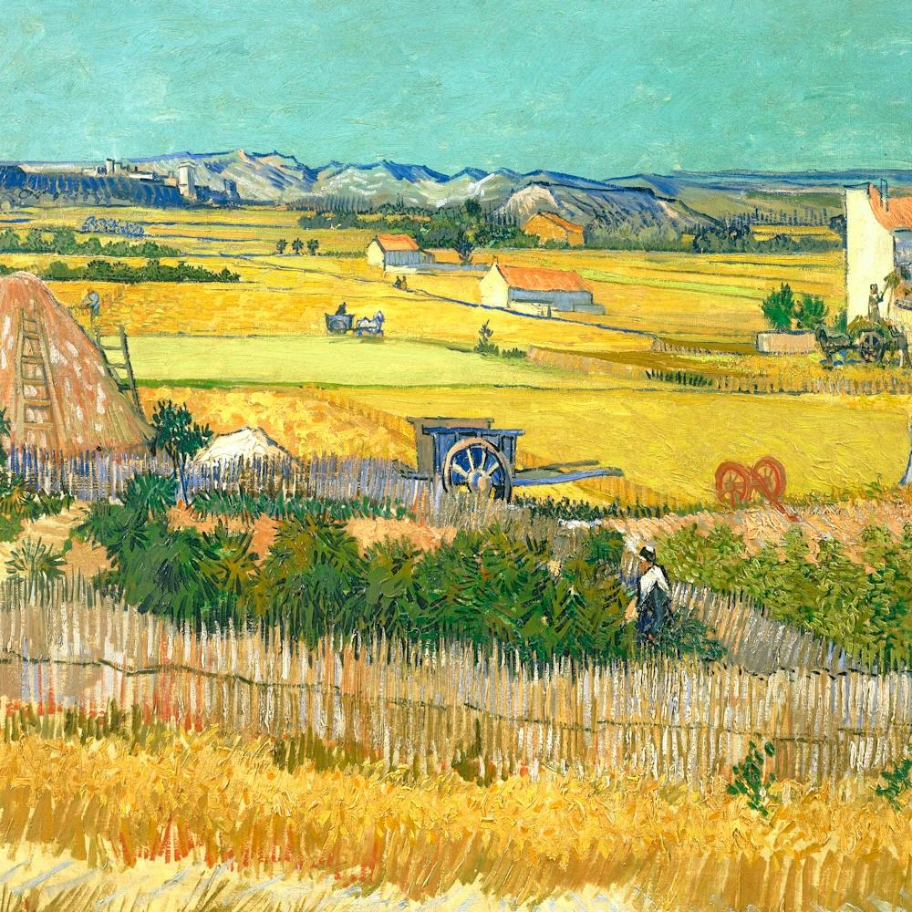 Vincent Van Gogh 10