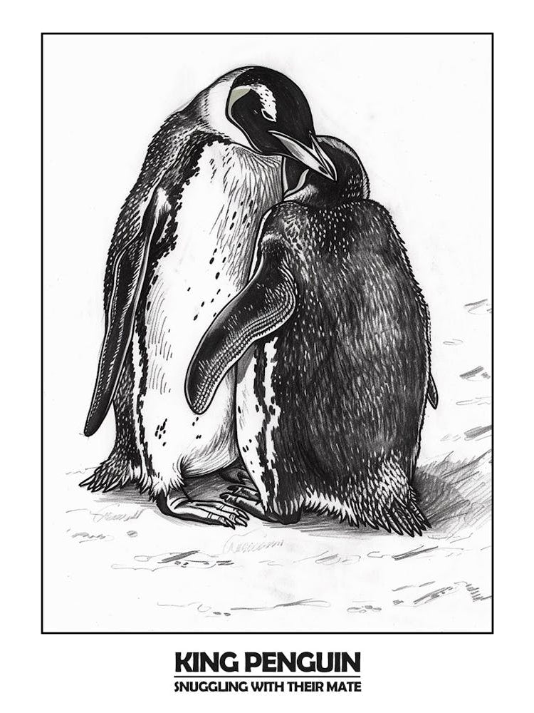 Penguin Snuggling With Their Mate Poster 4
