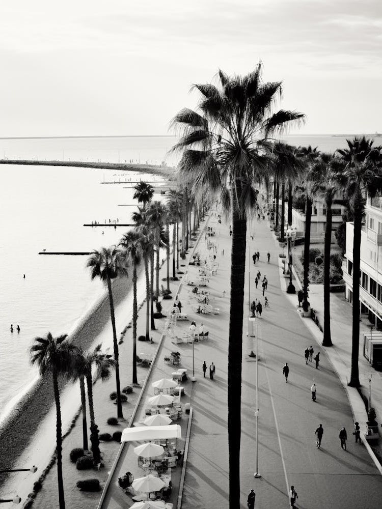 Cannes, France, Black And White Old Photo 2