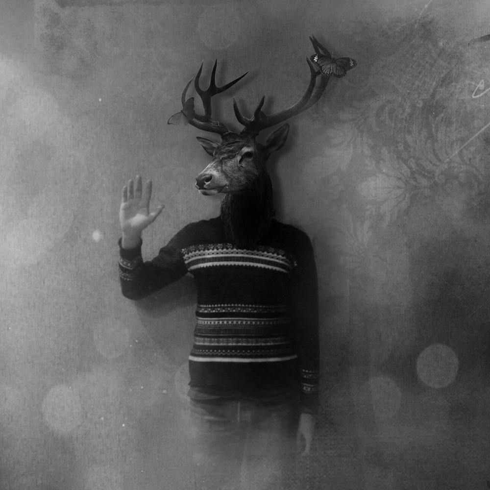 Animals in My Room (Deer)